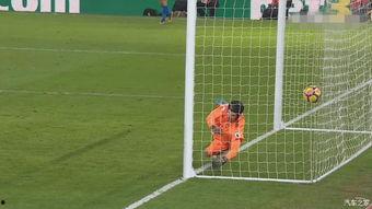 24-25赛季英超第20轮 水晶宫vs切尔西,英超第20轮焦点对决！”