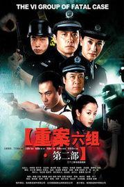 重案组,揭秘犯罪背后的真相与挑战